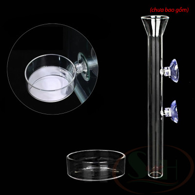 Chén thủy tinh cho tép ăn hạn chế thức ăn dư thừa bể cá tép thủy sinh