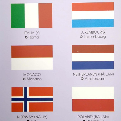 Sách - Bách Khoa Thư Đầu Đời Của Tớ - 100 Từ Mới Về Cờ Các Nước - Bìa Cứng