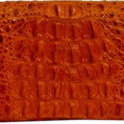 Ví Nữ Huy Hoàng HT3204 (10.5 x 19 cm) - Vàng