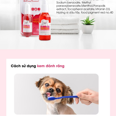 Kem Đánh Răng Cho Thú Cưng Forcans 100ml