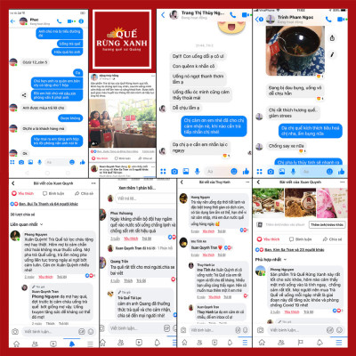 Trà Quế  giúp giảm cân, giúp lưu thông máu,tăng kháng thể, ổn định đường huyết, ngủ ngon, hơi thở thơm hương Quế Rừng Xanh- Quế rừng Trà Bồng Quảng Ngãi, món quà về sức khỏe và tinh thần