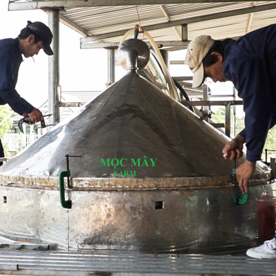 Tinh dầu sả chanh 10ml Mộc Mây - tinh dầu nguyên chất 100% từ thiên nhiên - chất lượng và mùi hương vượt trội