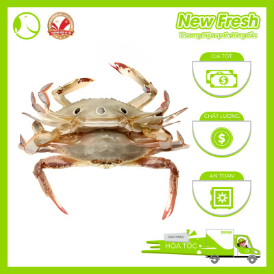 Ghẹ Xanh Nguyên Con Cấp Đông - Túi 1Kg